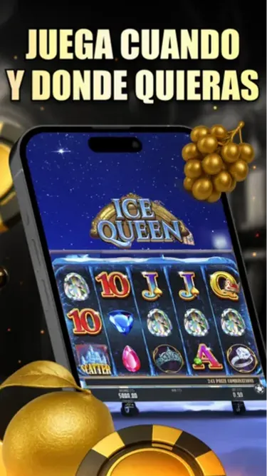 CIRSA Screenshot